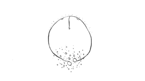goods_file1